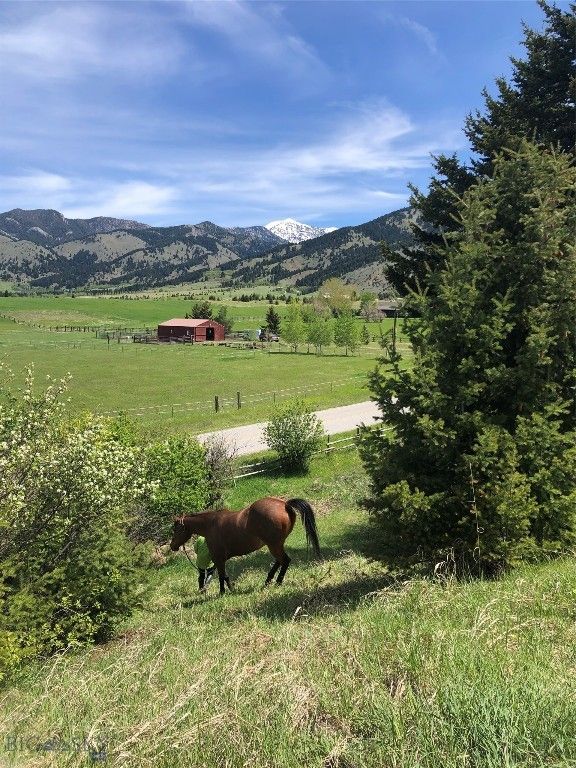 8350 Sypes Canyon Road, Bozeman, MT 59715 photo 17