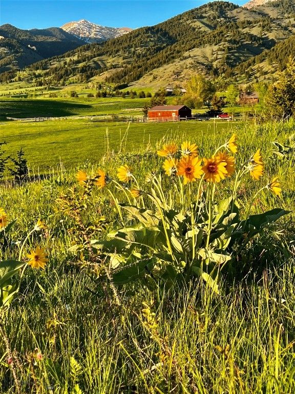 8350 Sypes Canyon Road, Bozeman, MT 59715 photo 18