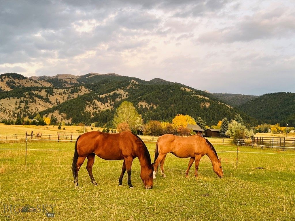 8350 Sypes Canyon Road, Bozeman, MT 59715 photo 3