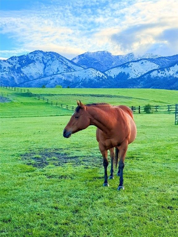 8350 Sypes Canyon Road, Bozeman, MT 59715 photo 5