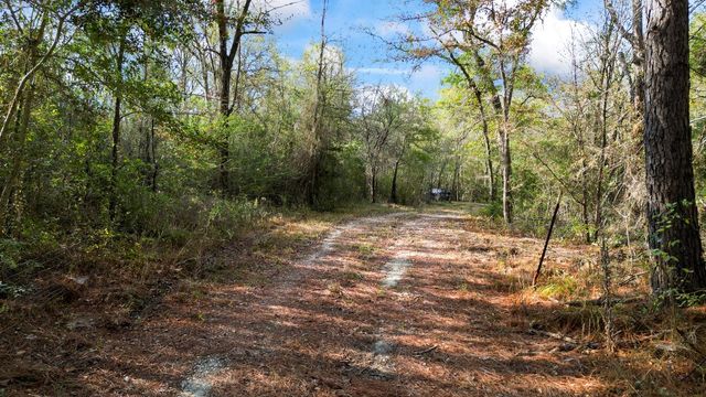 585 Bishop Road, Huntsville, TX 77320