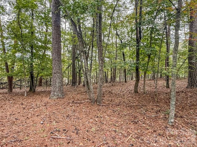 253 Nors Way, Lake Lure, NC 28746