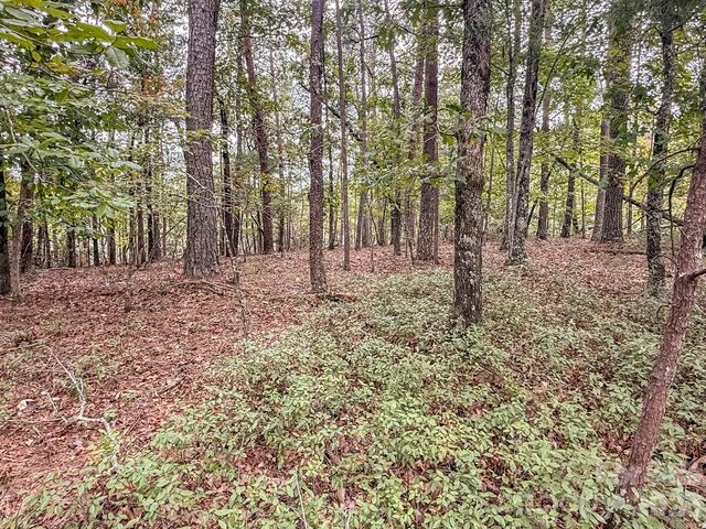 253 Nors Way, Lake Lure, NC 28746