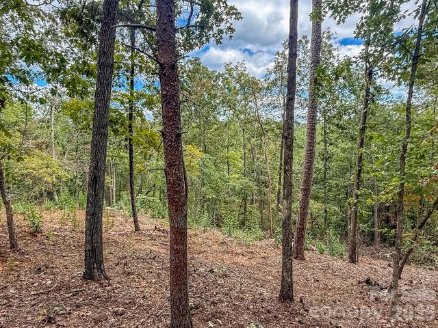 253 Nors Way, Lake Lure, NC 28746