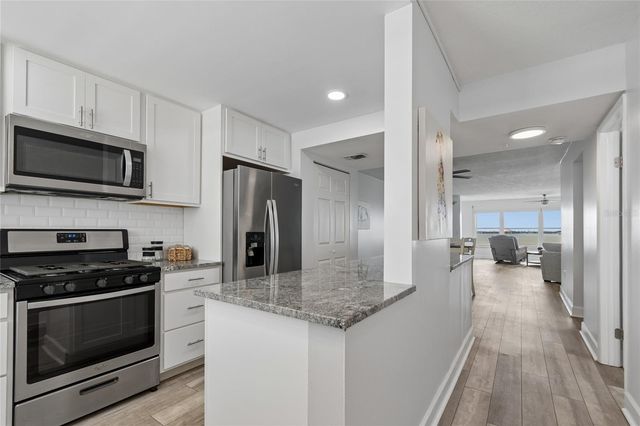5980 SHORE BOULEVARD S 909, Gulfport, FL 33707