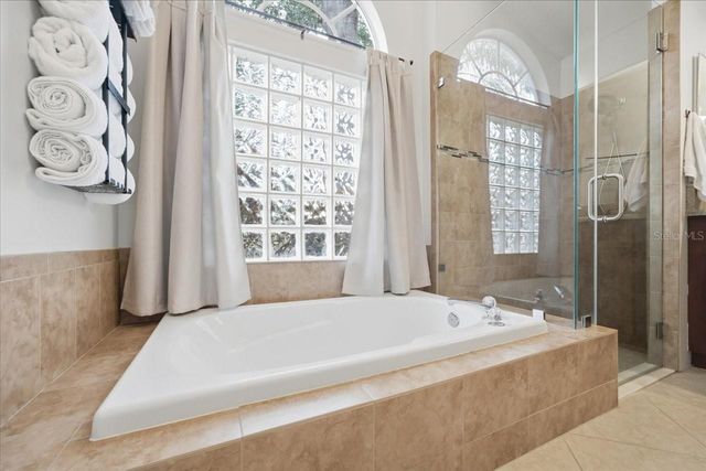 15207 ARBOR HOLLOW DRIVE, Odessa, FL 33556