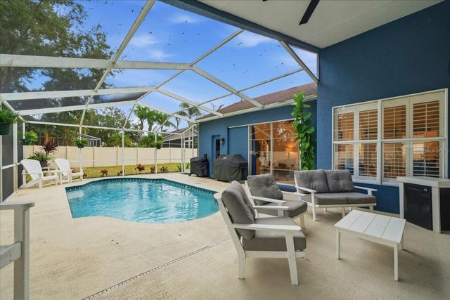 15207 ARBOR HOLLOW DRIVE, Odessa, FL 33556