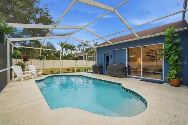 15207 ARBOR HOLLOW DRIVE, Odessa, FL 33556