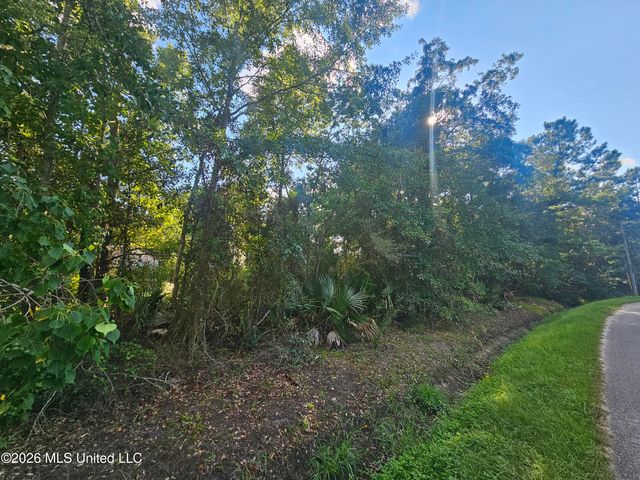 Jordan River Drive, Bay Saint Louis, MS 39520