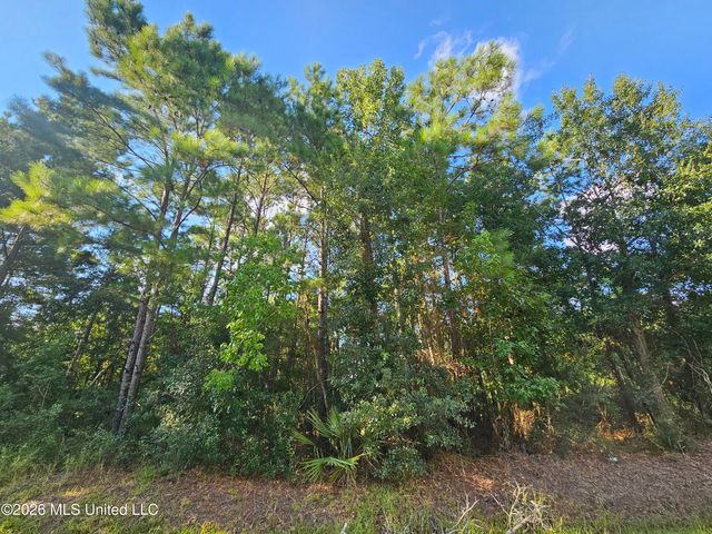 Jordan River Drive, Bay Saint Louis, MS 39520