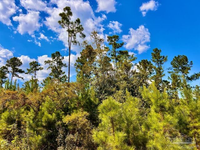 Lot 3 Morgans Branch, Molino, FL 32577