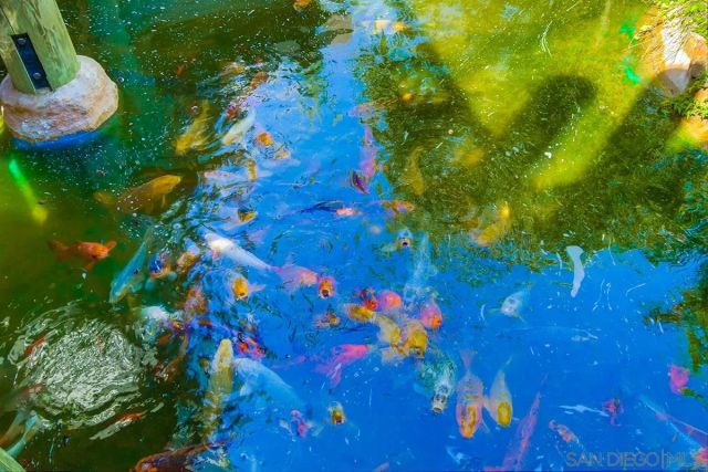 999 N Pacific St D200, Oceanside, CA 92054