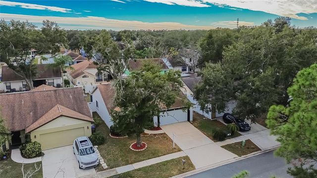 11005 KENBROOK DRIVE, Riverview, FL 33578