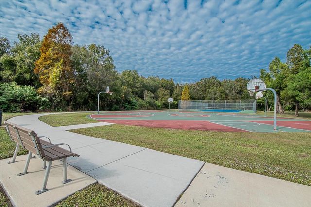 11005 KENBROOK DRIVE, Riverview, FL 33578