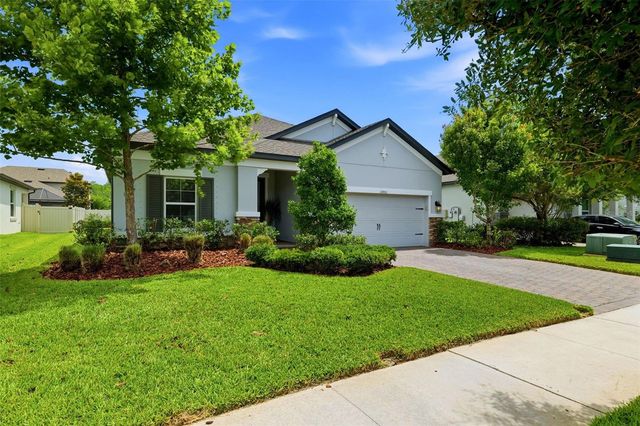 11903 RANCHERS GAP DRIVE, Odessa, FL 33556