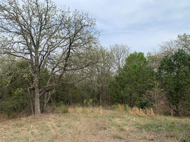 1039 Creek Crossing Road, Nemo, TX 76070