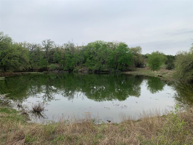 1039 Creek Crossing Road, Nemo, TX 76070