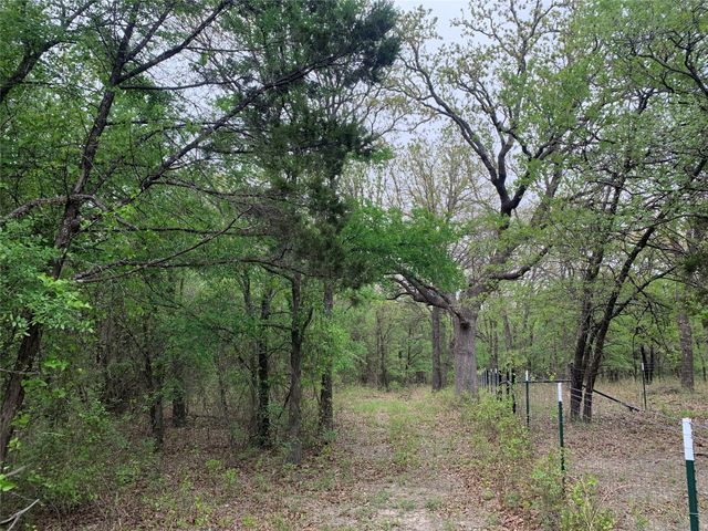 1039 Creek Crossing Road, Nemo, TX 76070