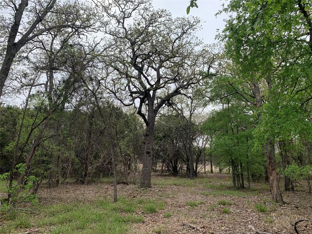 1039 Creek Crossing Road, Nemo, TX 76070