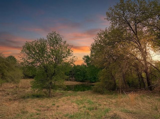 1039 Creek Crossing Road, Nemo, TX 76070