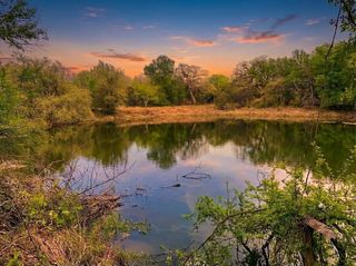 1039 Creek Crossing Road, Nemo, TX 76070