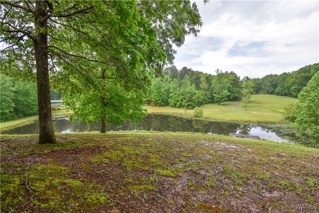 6905 Clements Foley Rd, Northport, AL 35473