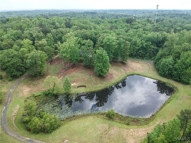 6905 Clements Foley Rd, Northport, AL 35473