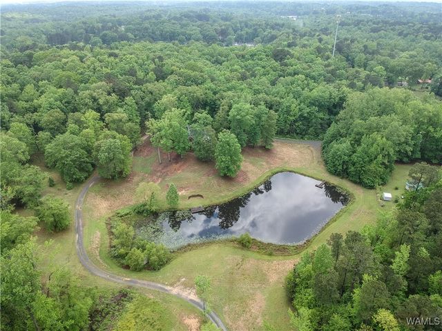 6905 Clements Foley Rd, Northport, AL 35473