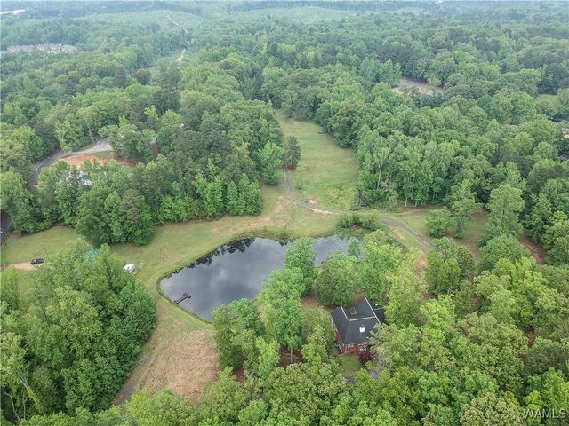 6905 Clements Foley Rd, Northport, AL 35473