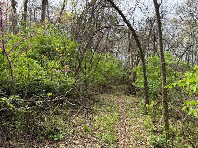 6587 Fairview Road, Hixson, TN 37343