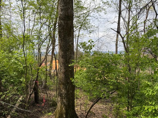 6587 Fairview Road, Hixson, TN 37343