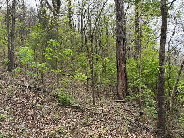 6587 Fairview Road, Hixson, TN 37343