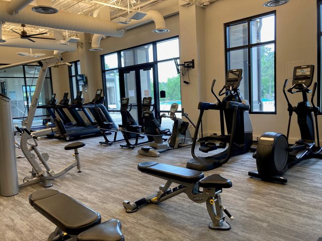 271 Spotted Saddle Court, The Woodlands, TX 77382
