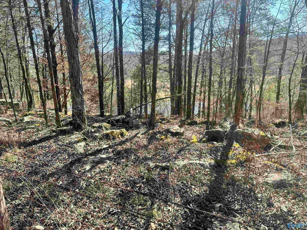 21 Acres Cathedral Caverns Hwy, Woodville, AL 35776