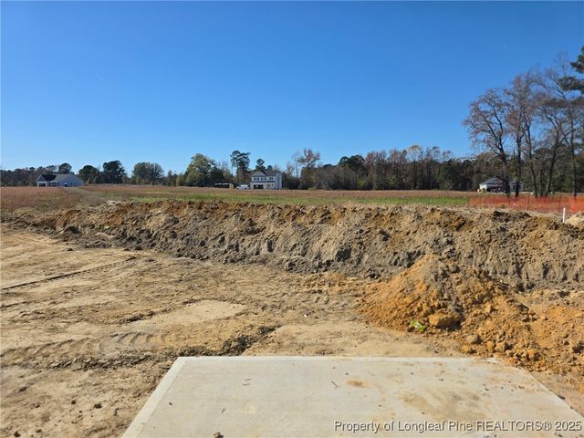 451 Black Duck Lane 102, Lillington, NC 27546