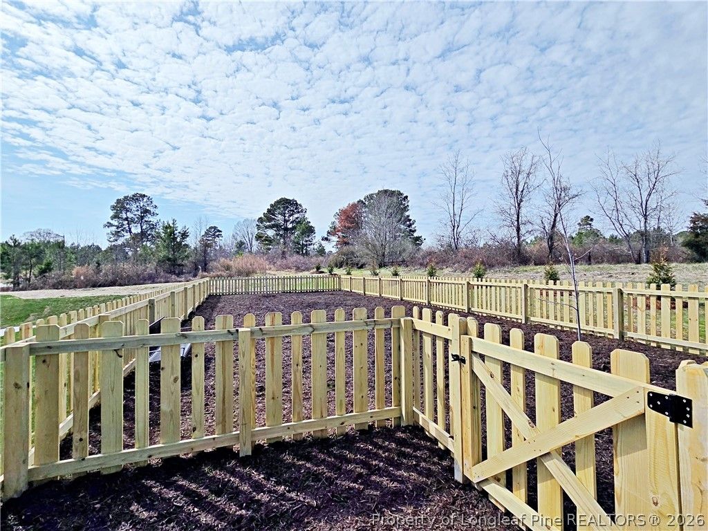 451 Black Duck (Lot 102) Lane, Lillington, NC 27546 — photo 34