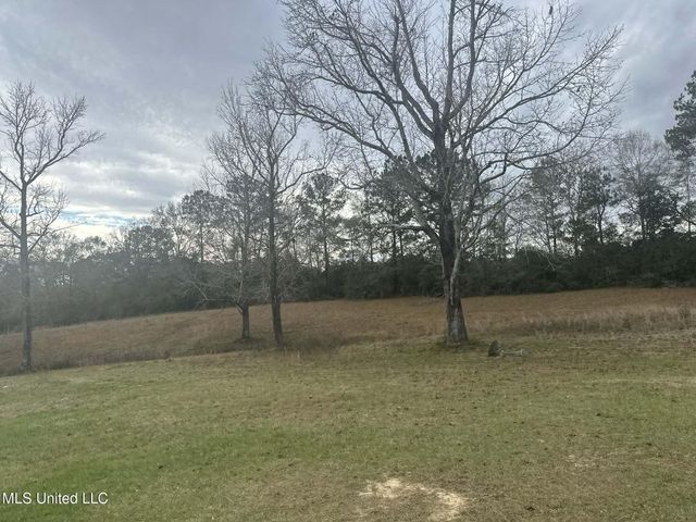 90 Augusta Drive, Carriere, MS 39426