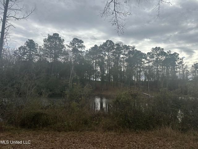 90 Augusta Drive, Carriere, MS 39426