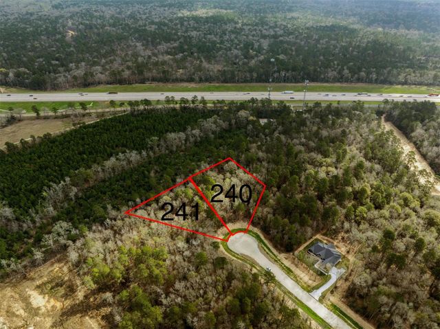241 Hollow Hill Road, New Waverly, TX 77358
