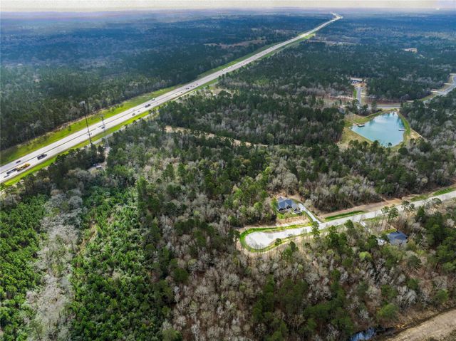 241 Hollow Hill Road, New Waverly, TX 77358