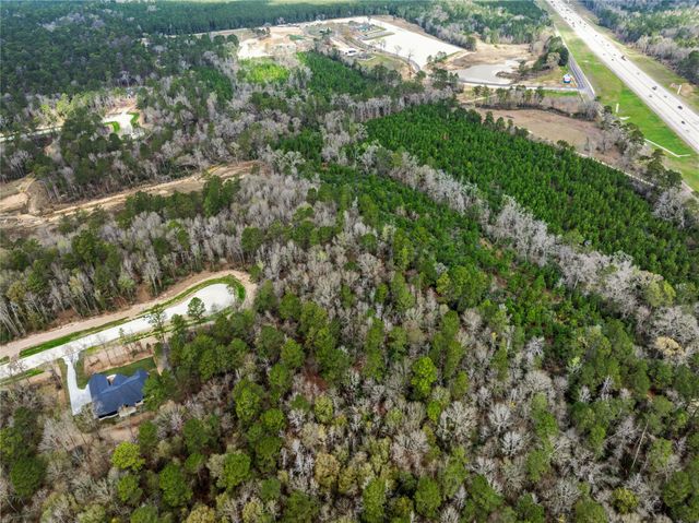 241 Hollow Hill Road, New Waverly, TX 77358