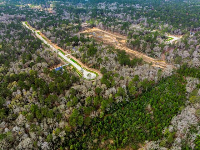 241 Hollow Hill Road, New Waverly, TX 77358