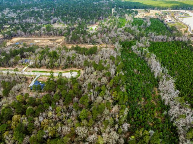 241 Hollow Hill Road, New Waverly, TX 77358