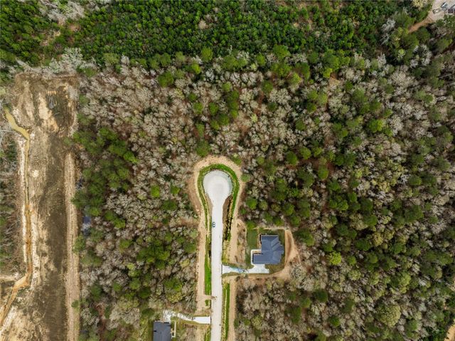 241 Hollow Hill Road, New Waverly, TX 77358