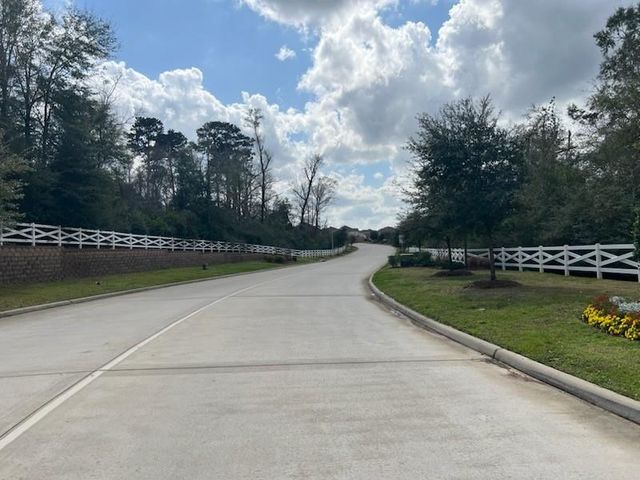 2512 Austin Hills Court, Conroe, TX 77304