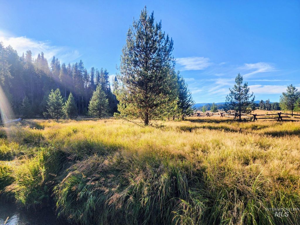 TBD W Of Elk Creek Road, Elk City, ID 83525 photo 4