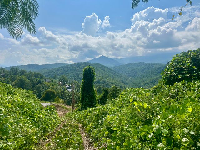 674 Woodland Drive, Gatlinburg, TN 37738