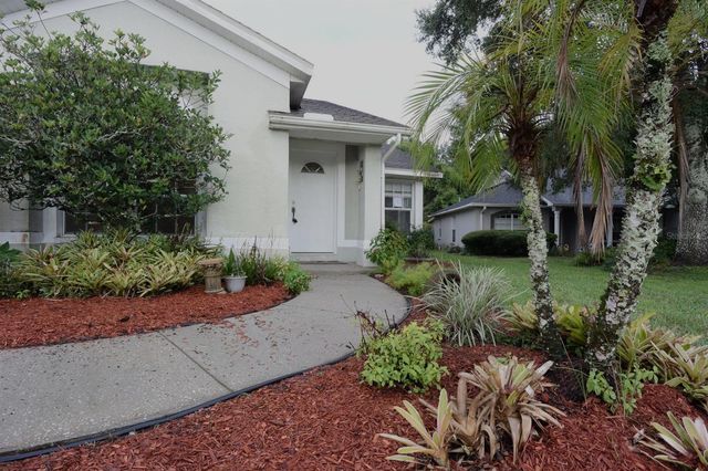 24449 PAINTER DRIVE, Land O Lakes, FL 34639