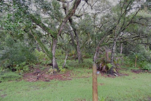 24449 PAINTER DRIVE, Land O Lakes, FL 34639