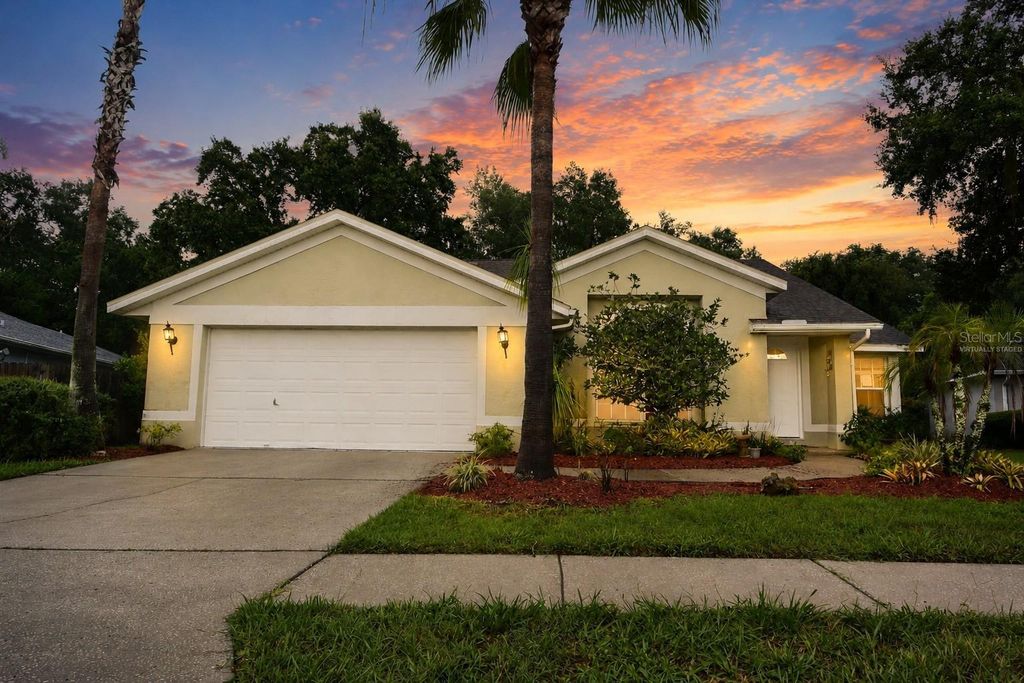 24449 PAINTER DRIVE, Land O Lakes, FL 34639